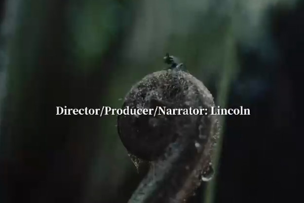 The Path of Philosophy